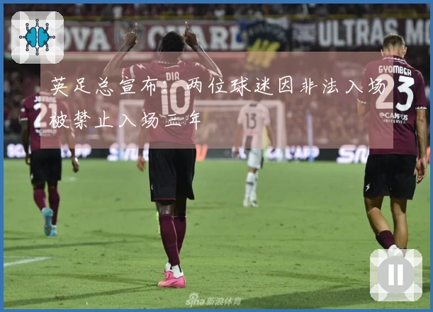 英足总宣布：两位球迷因非法入场被禁止入场三年
